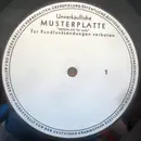 12inch Vinyl Single - Moti Special - In Love We Stand