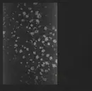 CD - Motorama - Poverty - Digipak