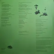 Double LP - Motorpsycho - Kingdom Of Oblivion