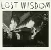 CD - Mount Eerie with Julie Doiron & Fred Squire - Lost Wisdom