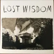 LP - Mount Eerie With Julie Doiron & Fred Squire - Lost Wisdom - White vinylI Incl. poster