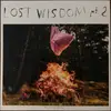 LP - Mount Eerie With Julie Doiron - Lost Wisdom Pt. 2