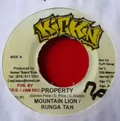 Mountain Lion - Property