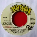 7inch Vinyl Single - Mountain Lion / Marcus 'Rangatan' Smith - Property