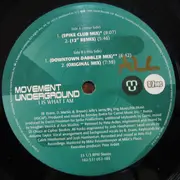 12inch Vinyl Single - Movement Underground - I Is What I Am