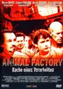 DVD - Steven Buscemi - Animal Factory - Rache eines Verurteilten