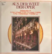 Mozart / Lortzing / Rossini / Verdi / Bizet - Aus der Welt der Oper - Beliebte Arien