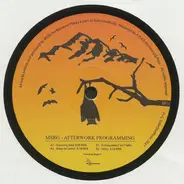 Msrg - Afterwork Programming
