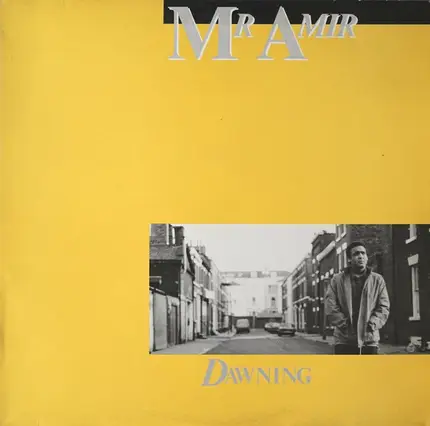 Mr Amir - Dawning