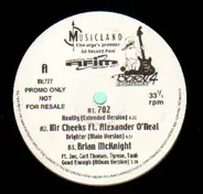 Mr Cheeks, 702, Brian McKnight - Sampler
