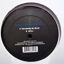 12inch Vinyl Single - Mr Raoul K - Introducing My World