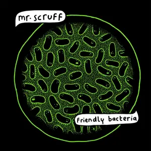 MR SCRUFF - Friendly Bacteria
