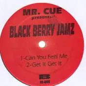 Mr. Cue - Black Berry Jamz