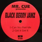 12inch Vinyl Single - Mr. Cue Presents Black Berry Jamz - I Can Love You