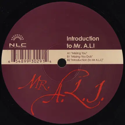 Mr. A.L.I. - Introduction To Mr A.L.I.