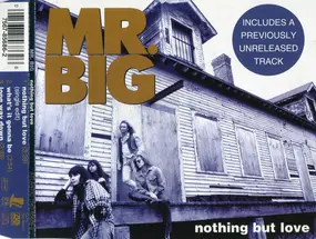 Mr. Big - Nothing But Love