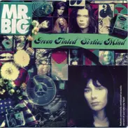 Mr. Big - Green Tinted Sixties Mind