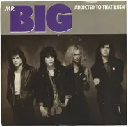 Mr. Big - Addicted To That Rush