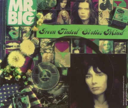 Mr. Big - Green Tinted Sixties Mind