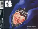 CD Single - Mr. Big - Just Take My Heart