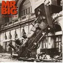 CD - Mr. Big - Lean Into It