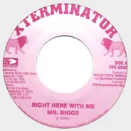 Mr. Biggs - Right Here With Me
