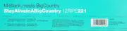 12'' - Mr. Blank Meets Big Country - Stay Alive In A Big Country