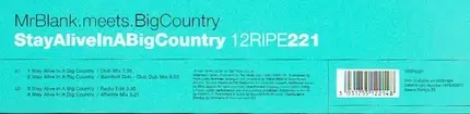 Mr. Blank Meets Big Country - Stay Alive In A Big Country