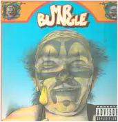 Mr. Bungle