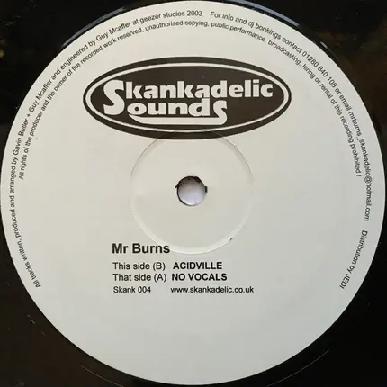 Mr. Burns - No Vocals / Acidville