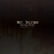 Mr. Burns - Flying Blind