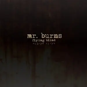 MR. Burns - Flying Blind