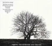 Mr. David Viner - Among the Rumours and the Rye