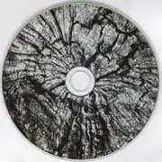 CD - Mr. David Viner - Among The Rumours And The Rye