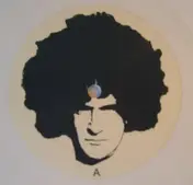 Mr. Dynamite - Stupidisco