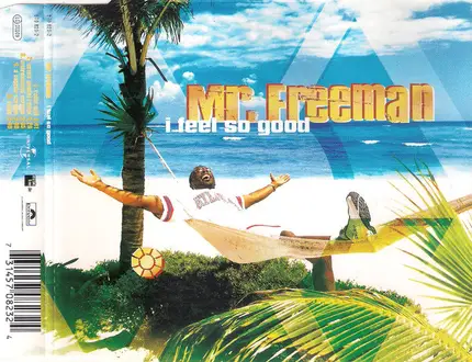 Mr. Freeman - I Feel So Good