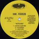 12inch Vinyl Single - Mr. Freeze - Notches