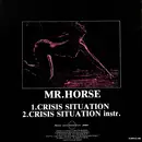 12inch Vinyl Single - Mr. Horse - Crisis Situation