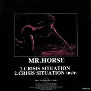 Mr. Horse - Crisis Situation