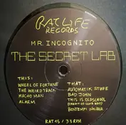 Mr. Incognito