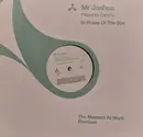 12inch Vinyl Single - Mr. Joshua - In Praise Of The Sun