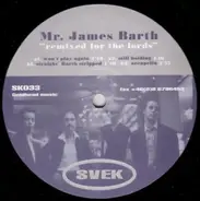 Mr. James Barth - Remixed For The Lords