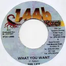 7inch Vinyl Single - Mr. Lexx - What You Want