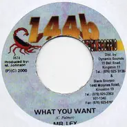 Mr. Lexx - What You Want