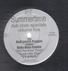 Mr. Merle - Summertime Dub Plate Specials Volume 5: 1999 R&B Meets Reggae Remixes