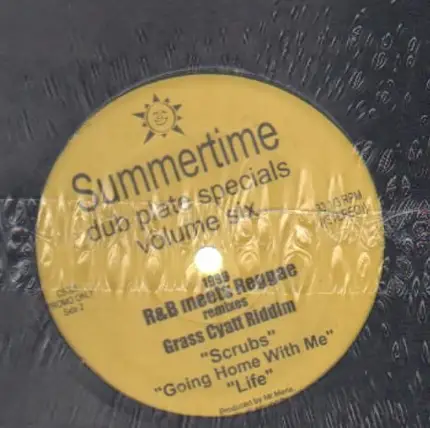 Mr. Merle - Summertime Dub Plate Specials Volume 6: 1999 R&B Meets Reggae Remixes