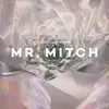 Double LP - MR. Mitch - Parallet Memories