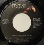 Mr. Mister - Hunters Of The Night