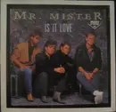 12'' - Mr. Mister - Is It Love
