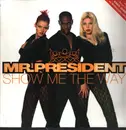 12inch Vinyl Single - Mr. President - Show Me The Way